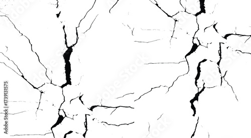 crack ground for abstract background on white background