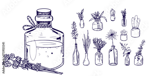 Set of hand drawn herbs and spices design elements. Vector illustration in sketch style