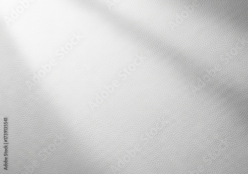 Subtle Light Plays Across a Textured White Surface, Creating Depth