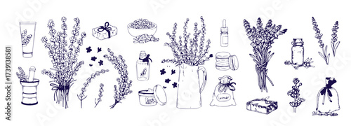 Set of hand drawn herbs and spices design elements. Vector illustration in sketch style