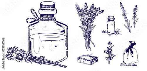Set of hand drawn herbs and spices design elements. Vector illustration in sketch style