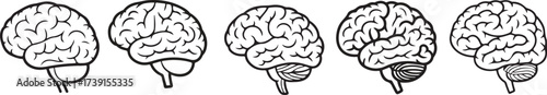 Set of anatomical human brain brain side view vector illustrations.Human brain top view line icon set.Simple black line drawing of a human brain.