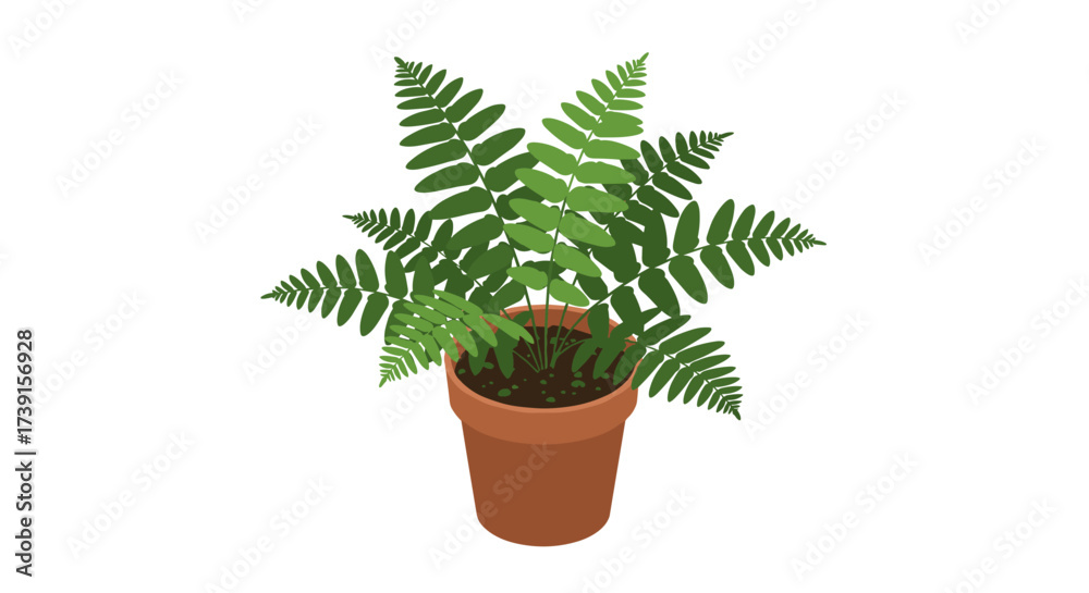 Obraz premium Isometric fern in clay pot on white background