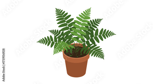 Isometric fern in clay pot on white background