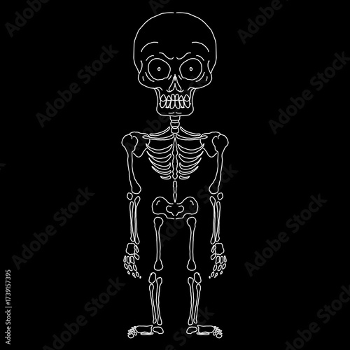 Cartoon skeleton illustration in white outline on black background, spooky doodle style for Halloween, print, and gothic design