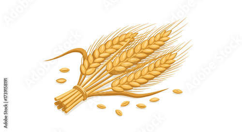 Golden wheat bundle with grain kernels on white background
