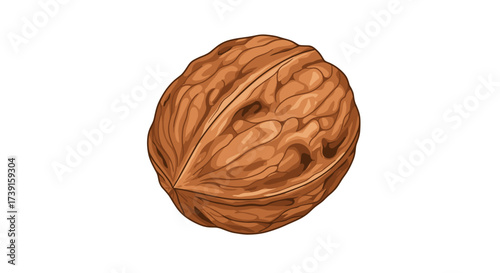 Realistic walnut on white background depicting texture and detail
