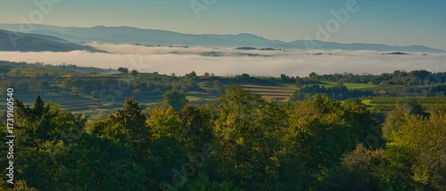 Herbststimmung in der Ortenau bei Ettenheim
