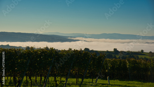 Herbststimmung in der Ortenau bei Ettenheim