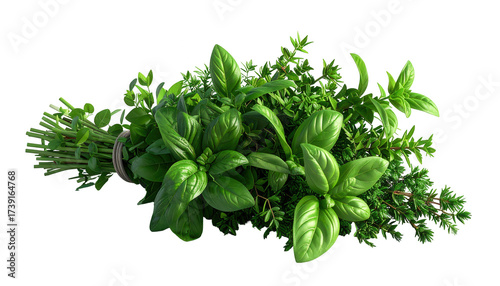 Fresh, vibrant green herbs, including basil and thyme, are artfully arranged in a bouquet with a dark background, showcasing the natural beauty of the plants.