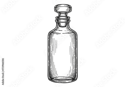 Elegant Glass Decanter with Stopper Hand-Drawn Style.