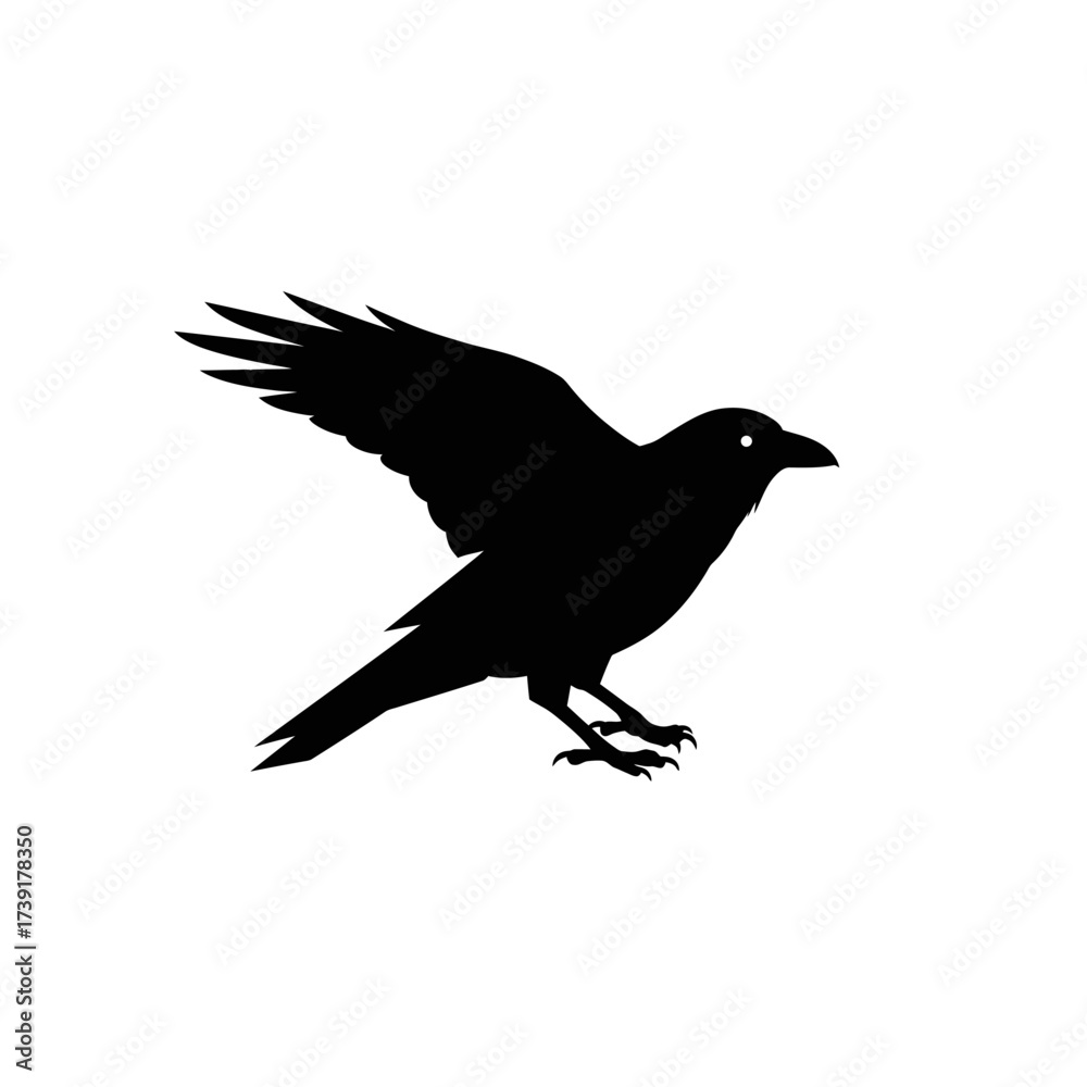 Obraz premium Silhouette of a Black Crow in Mid-Flight with Wings Extended.