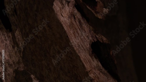 Detailed video of the agarwood surface, showing the unique wood grain. Camera angle from above, showing the texture of high-class agarwood grain, rare agarwood