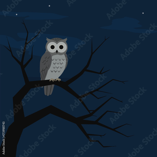 Cartoon Owl Sitting on Tree Branch at Night – Vector Illustration