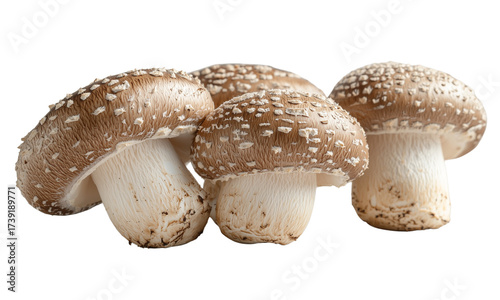 Four fresh shiitake mushrooms with textured brown caps and thick white stems.