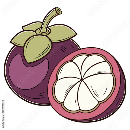 mangosteen on white background 