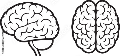 Simple black line drawing of a human brain set.Human brain icon set flat style. vector illustration.Brain illustration in simple line art style.
