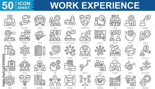 Work Experience Outline Icon Set Collection. Interview, responsibility, inclusion, briefing, job position and more. Illustration eps 10