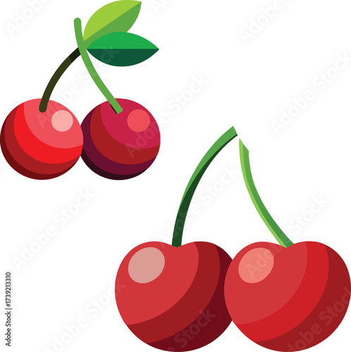 Fresh ripe red cherries on stems with green leaves delicious fruit for healthy eating vector