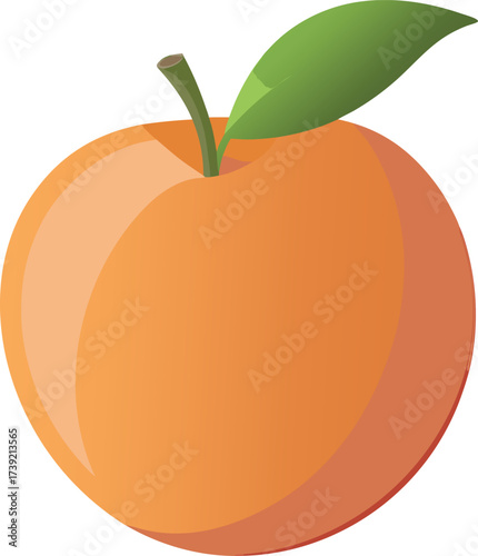 Ripe orange peach with green leaf and stem healthy fresh fruit delicious organic produce vector