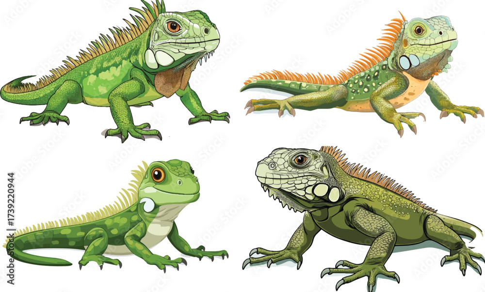 Fototapeta premium cartoon illustration of an iguana on a white background, vector clipart