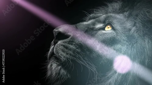 Close up of a black lion looking toward a spotlight, symbolizing hope, inspiration, and vision for the future.