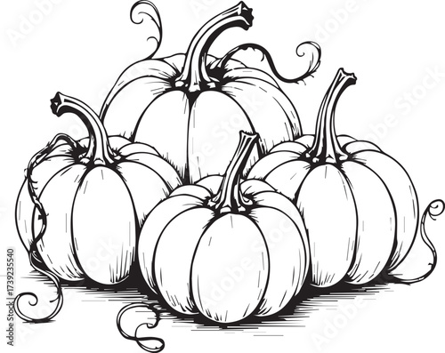 A delightful assembly of freshly harvested pumpkins, artfully arranged against a simple backdrop, exuding a sense of autumn harvest beauty.