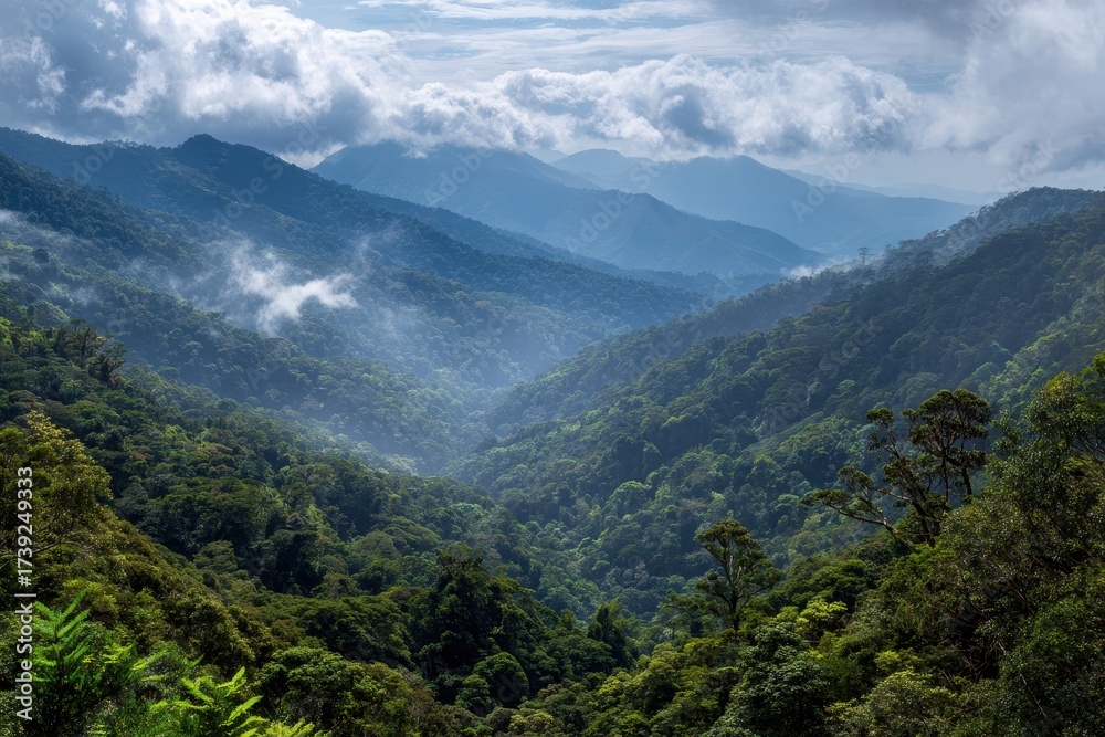 Fototapeta premium Honduras Mountains. Adventure in Central America Cloudy Forest - Los Quetzales Landscape with Blue Canopy and Cloudy Sky