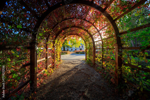 Large archway made of vines and leaves