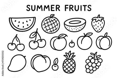 Black Line Summer Fruits. Summer Fruits. Hand-drawn doodle illustration watermelon, cantaloupe, honeydew, peach, cherry, strawberry, blueberry, plum,