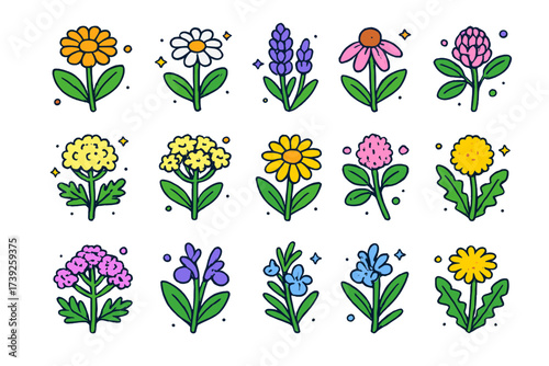 Medicinal Flowers Icons. Medicinal flowers. Colorful isometric vector icons set of medicinal flowers: calendula, chamomile, lavender, echinacea, elderflower,