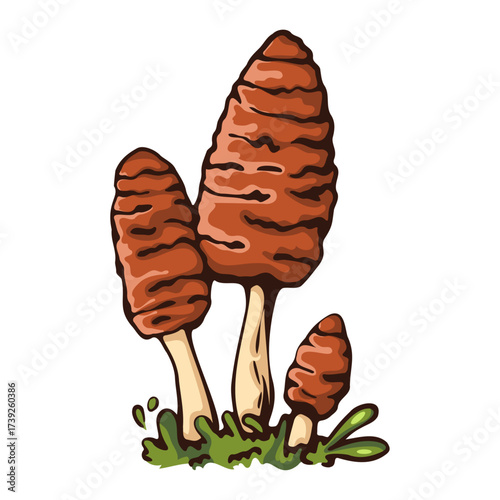 Illustration of a cluster of brown mushrooms growing in the grass