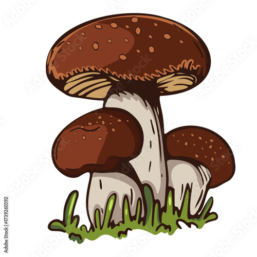 Illustration of a group of brown mushrooms growing in green grass