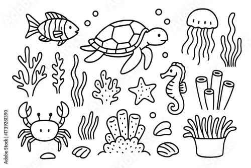 Reef Doodle Illustration. Reef ecosystem. Hand-drawn doodle illustration reef ecosystem coral reef, tropical fish, seaweed, sea turtle, starfish, clam,