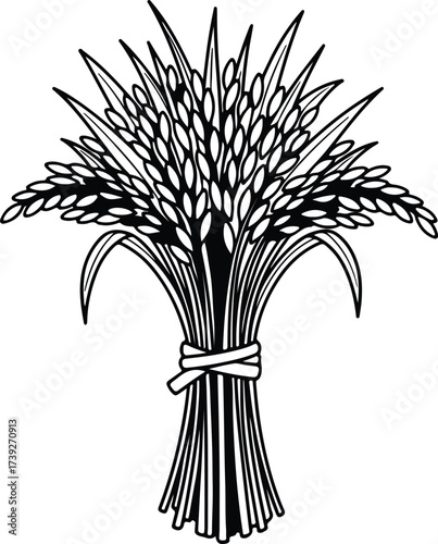 Vector silhouette of rice wheat ears bunch illustration