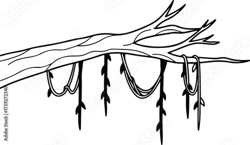 Vector silhouette tree branch with vines hanging down illustration