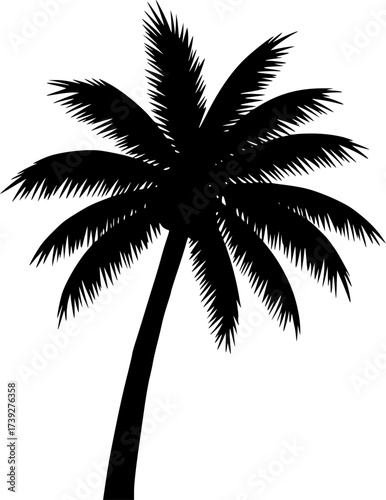 black and white silhouette of a coconut tree vector on a white background
