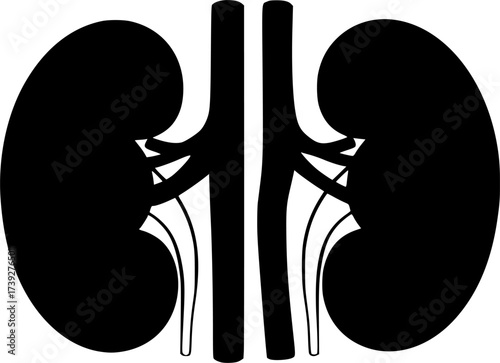 black and white silhouette of Kidneys vector on white background
