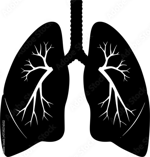 black and white silhouette of a lung vector on a white background
