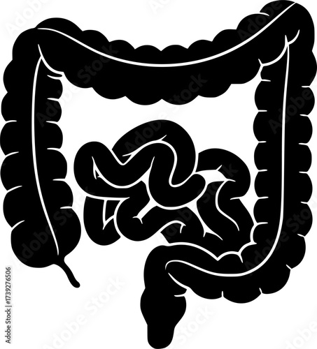 black and white silhouette of the intestines vector on a white background
