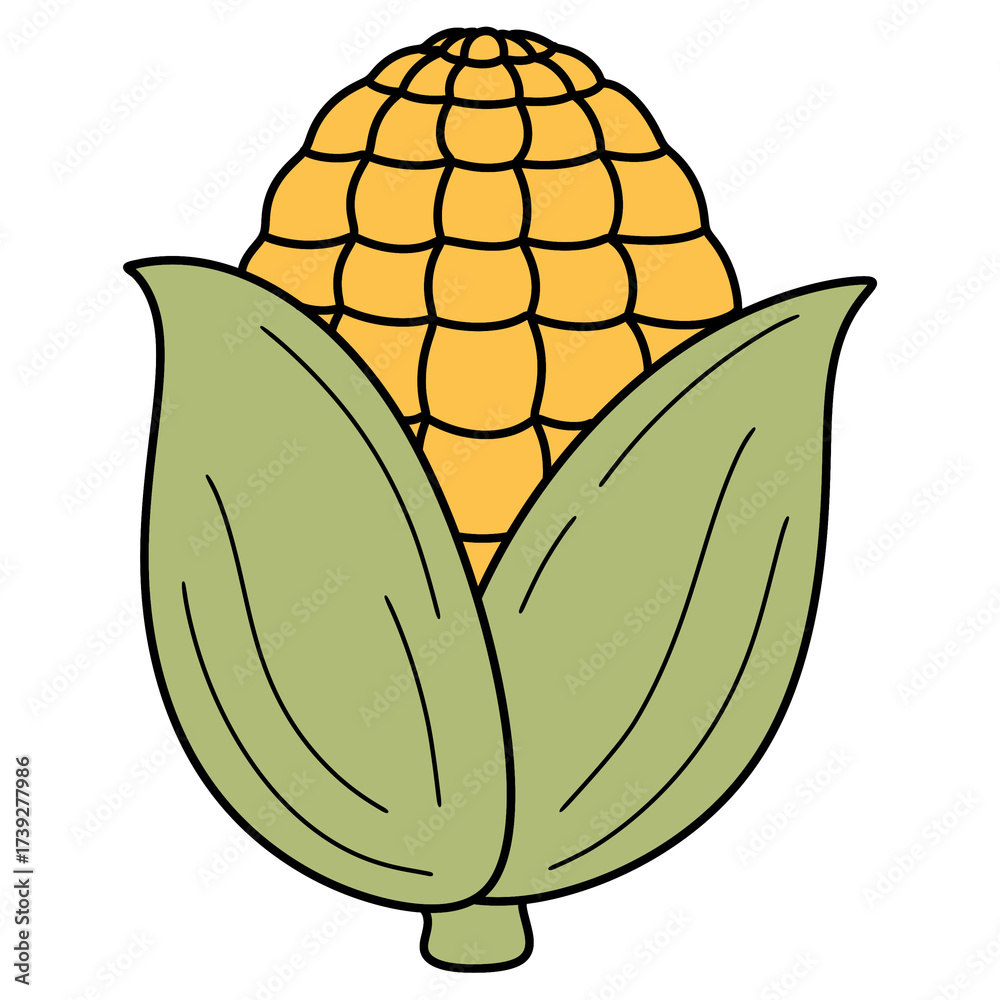 Fototapeta premium corn illustration