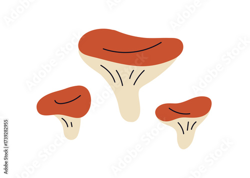 Autumn mushrooms. Fall forest fungi. Seasonal fungus composition, gilled caps, stems. Natural food. Edible organic healthy snack, ingredient. Flat vector illustration isolated on white background