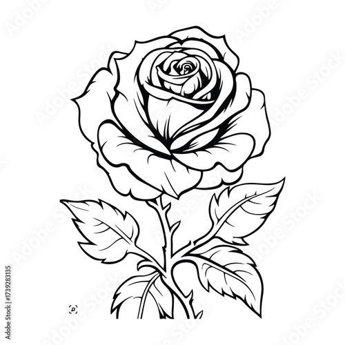 Vintage Rose Black and White Line Art Design
