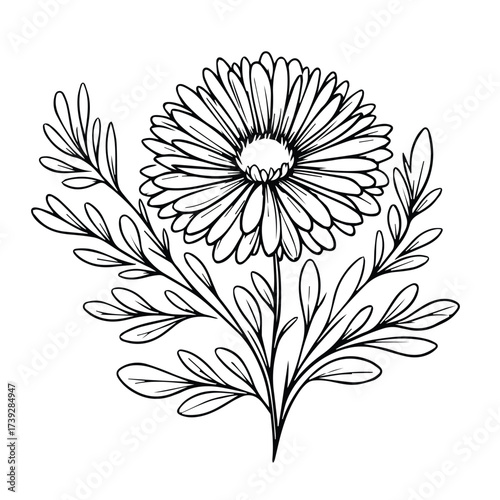 Vintage  Blooming Floral Black and White Shape