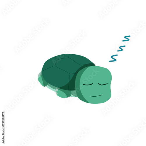 funny turtle cartoon