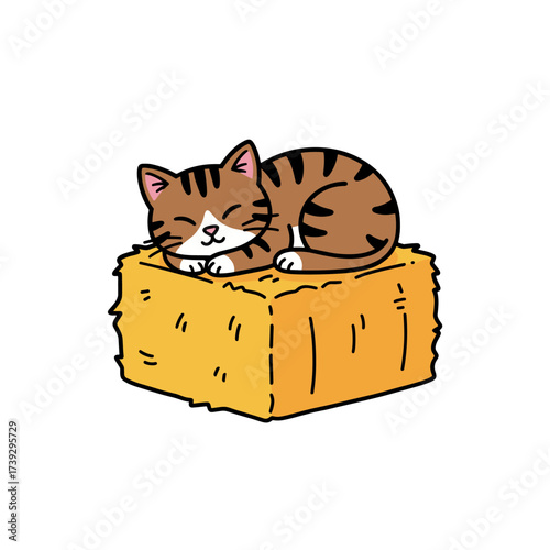 Cat Sleeping on Haybale