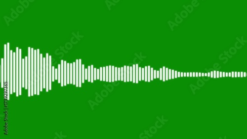audio waves rhythm isolated on black background. white line audio wave visualization voice record, line audio wave visualization transparent background,