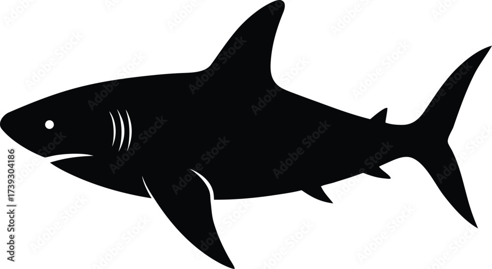 Fototapeta premium White great shark vector illustration: a dangerous ocean predator swimming in blue water