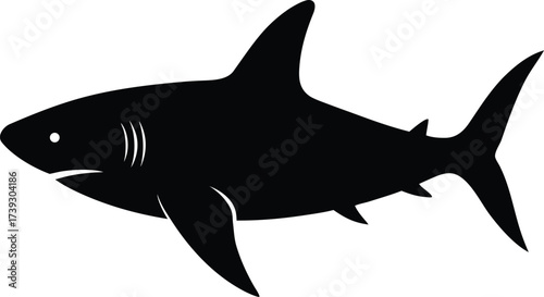 White great shark vector illustration: a dangerous ocean predator swimming in blue water