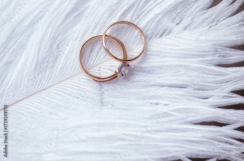 golden wedding rings with a white feather on the close up background. macro shoot
